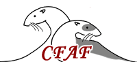 logo CFAF Evènements du CFAF en 2001