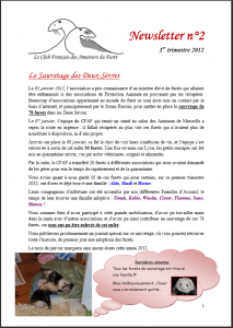 Newsletter 2