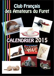 Calendrier 2015