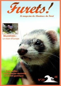 couverture_29