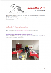 newsletter 12