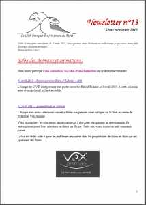 newsletter 13