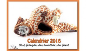 Calendrier-2016-2-2-big-1-www-cfafboutique-kingeshop-com