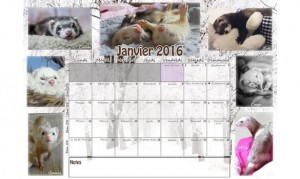 Calendrier-2016-2-2-big-2-www-cfafboutique-kingeshop-com