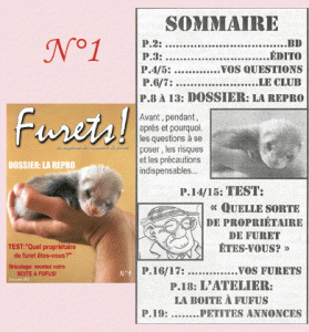 Evènements du CFAF en 2002