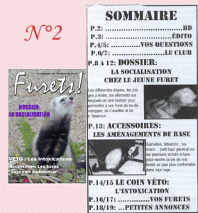 journal-furet-n2