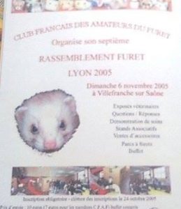 rassemblement-villefranche-sur-saone-06-11-2005