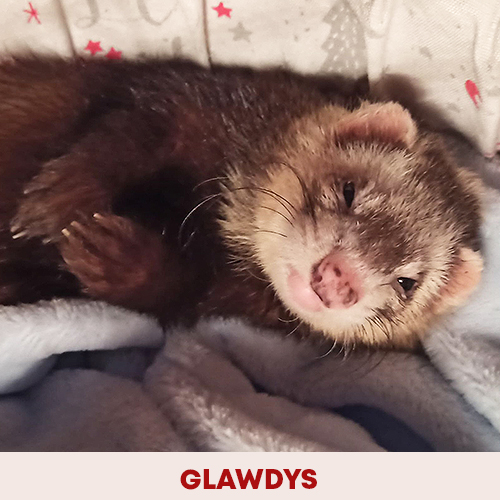 Glawdys