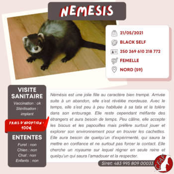 Némésis (2)