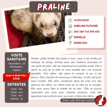 Praline (2)