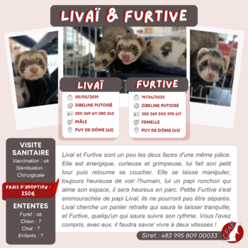 livai & furtive (2)