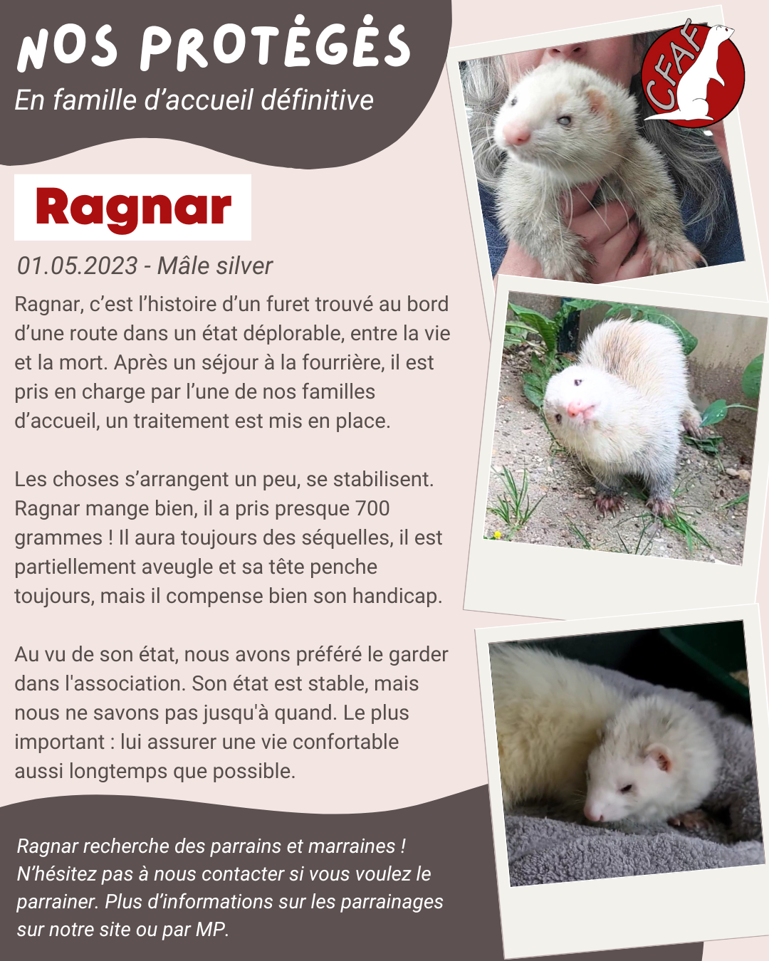Ragnar