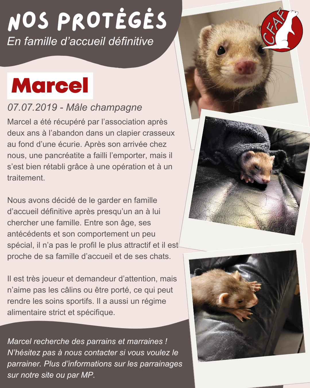 Marcel