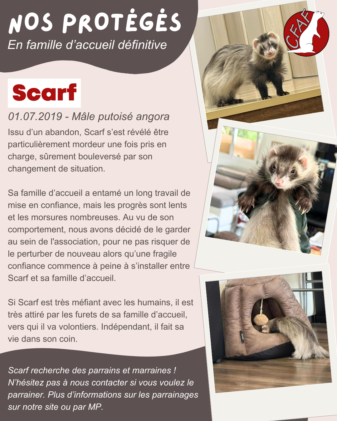 Scarf
