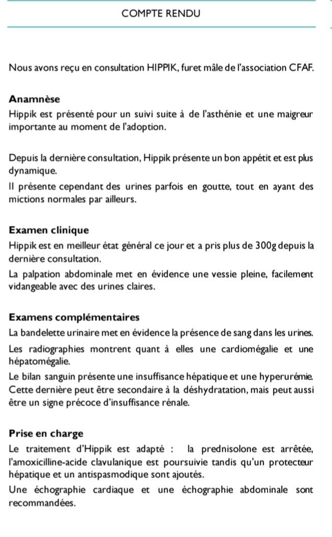 Compte rendu - Bilan de suivi