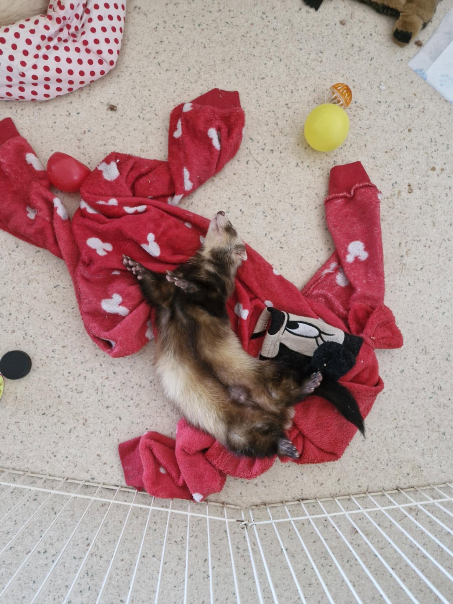 Skyos sur le tissu rouge