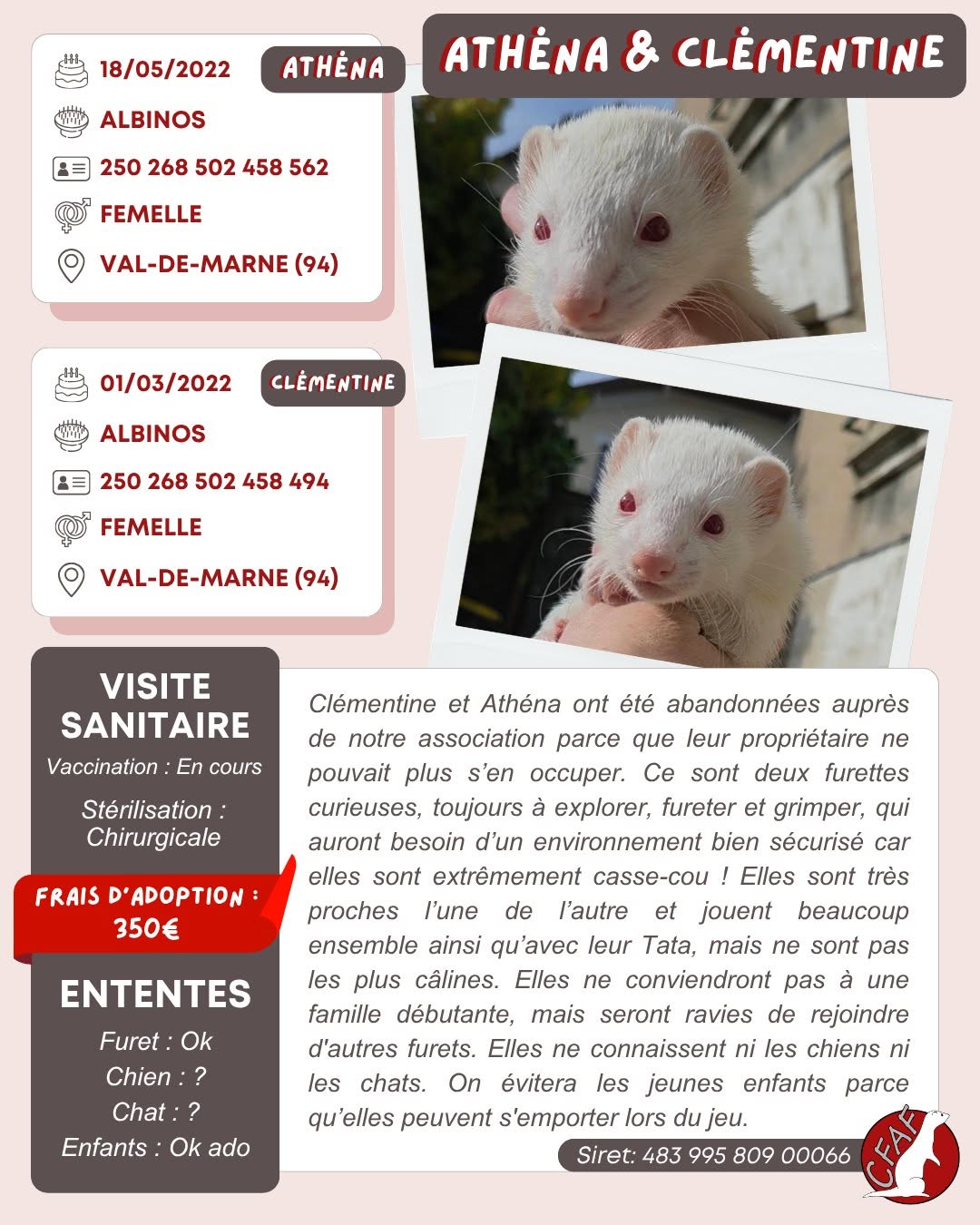 Clémentine & Athéna