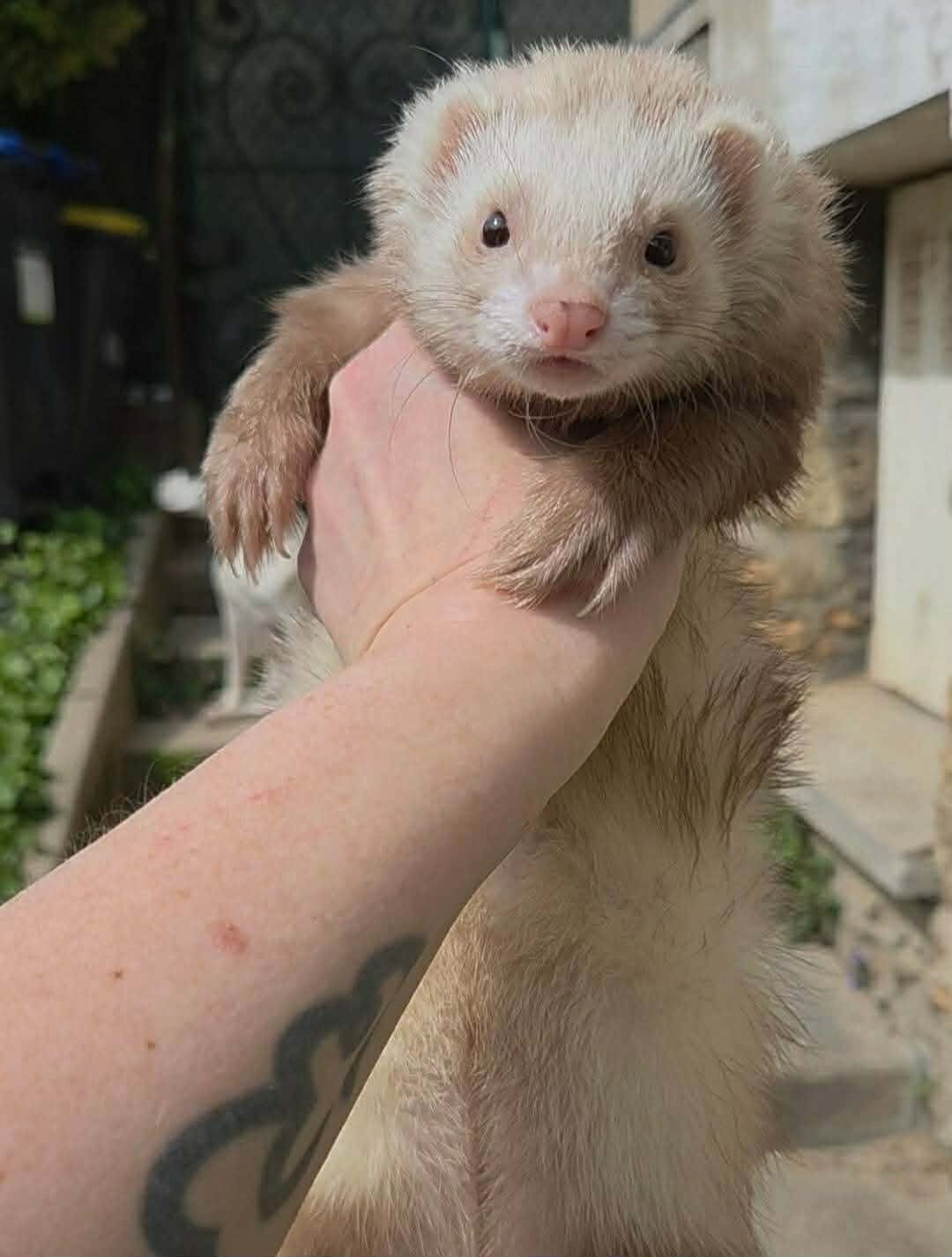Rory